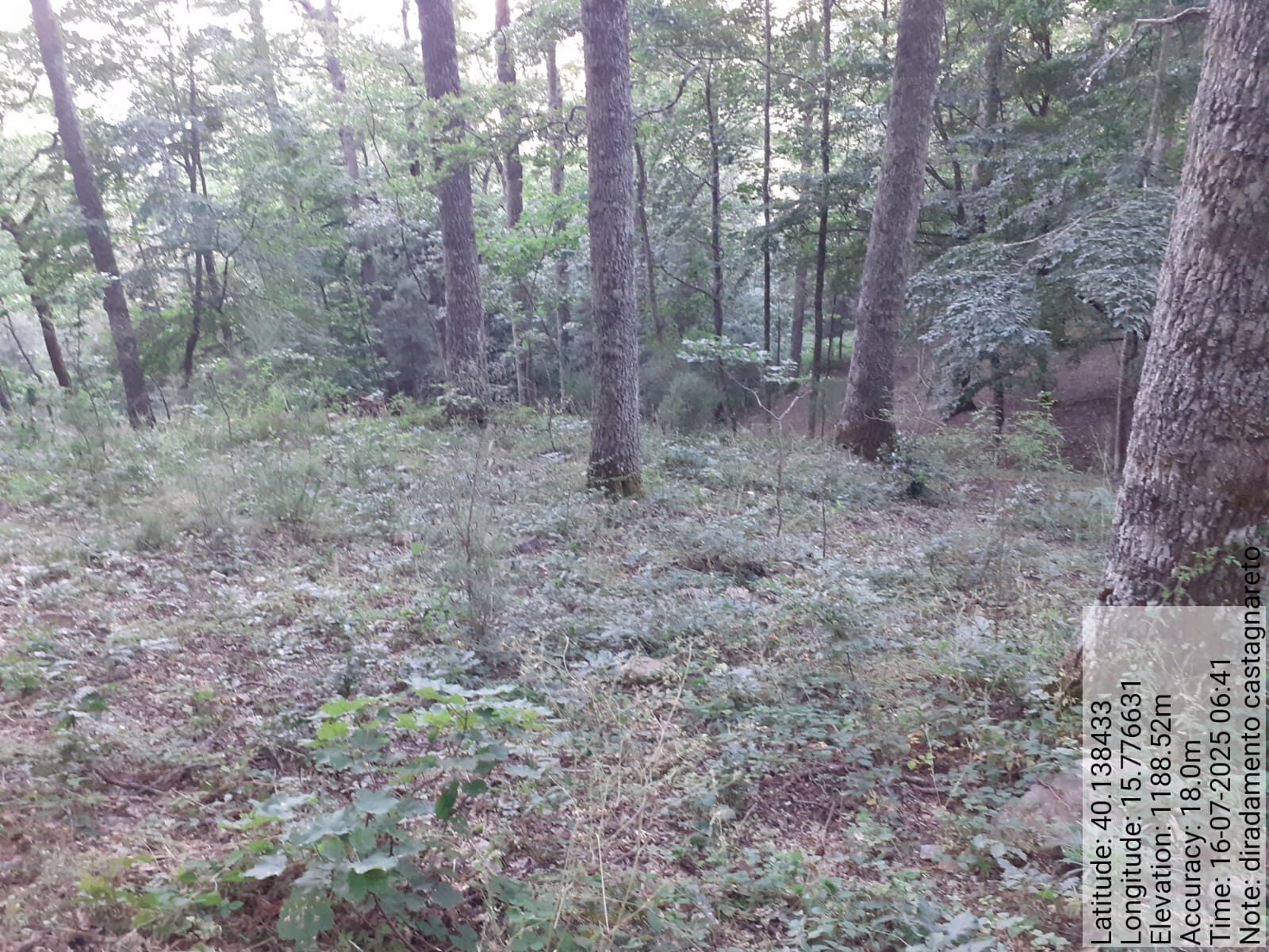 Galleria Fotografica Immagine