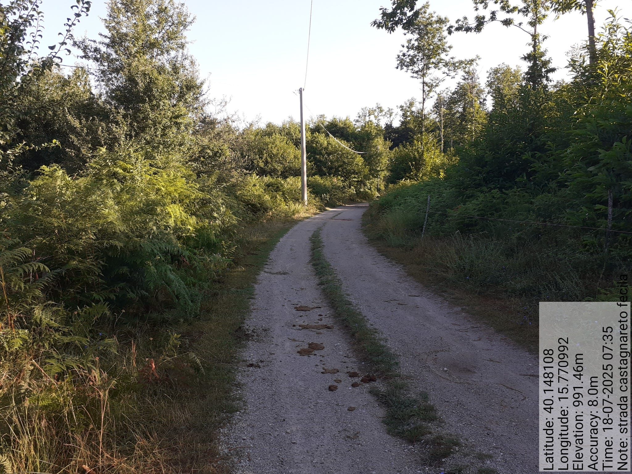 Galleria Fotografica Immagine