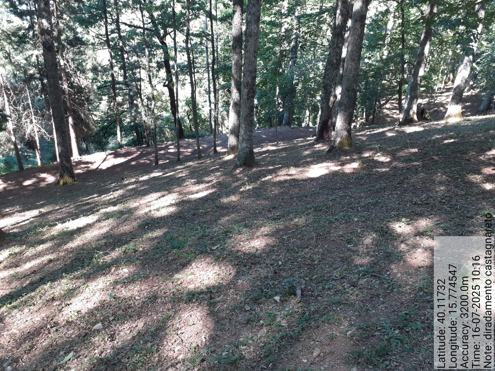 Galleria Fotografica Immagine