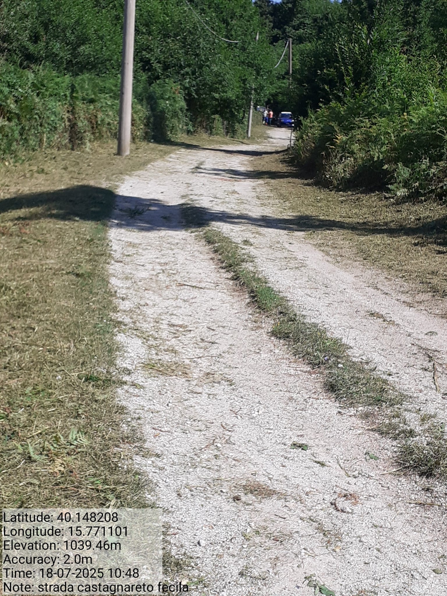 Galleria Fotografica Immagine