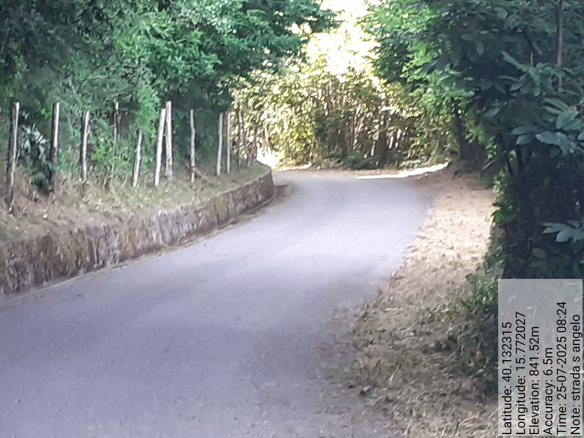 Galleria Fotografica Immagine