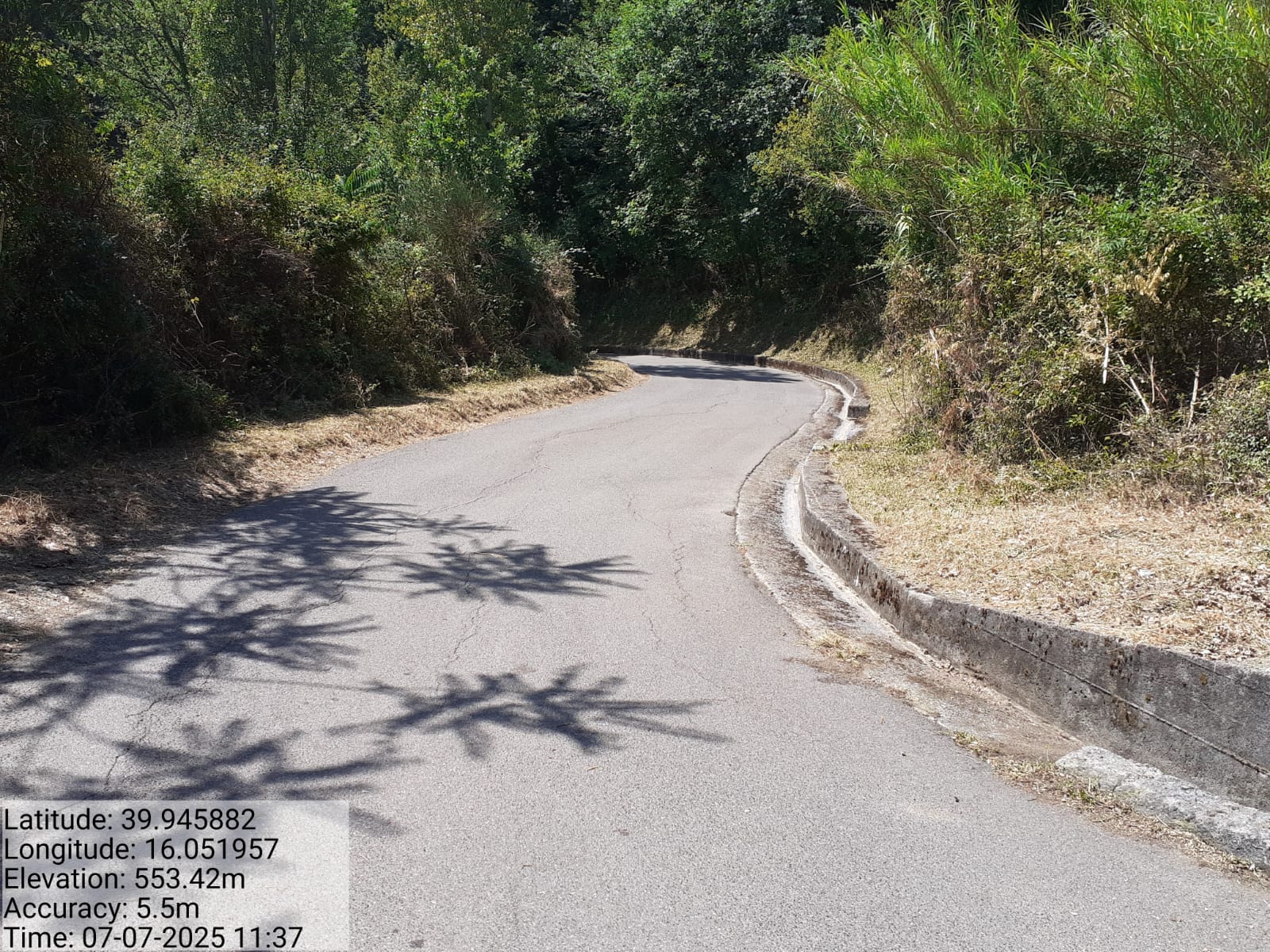 Galleria Fotografica Immagine