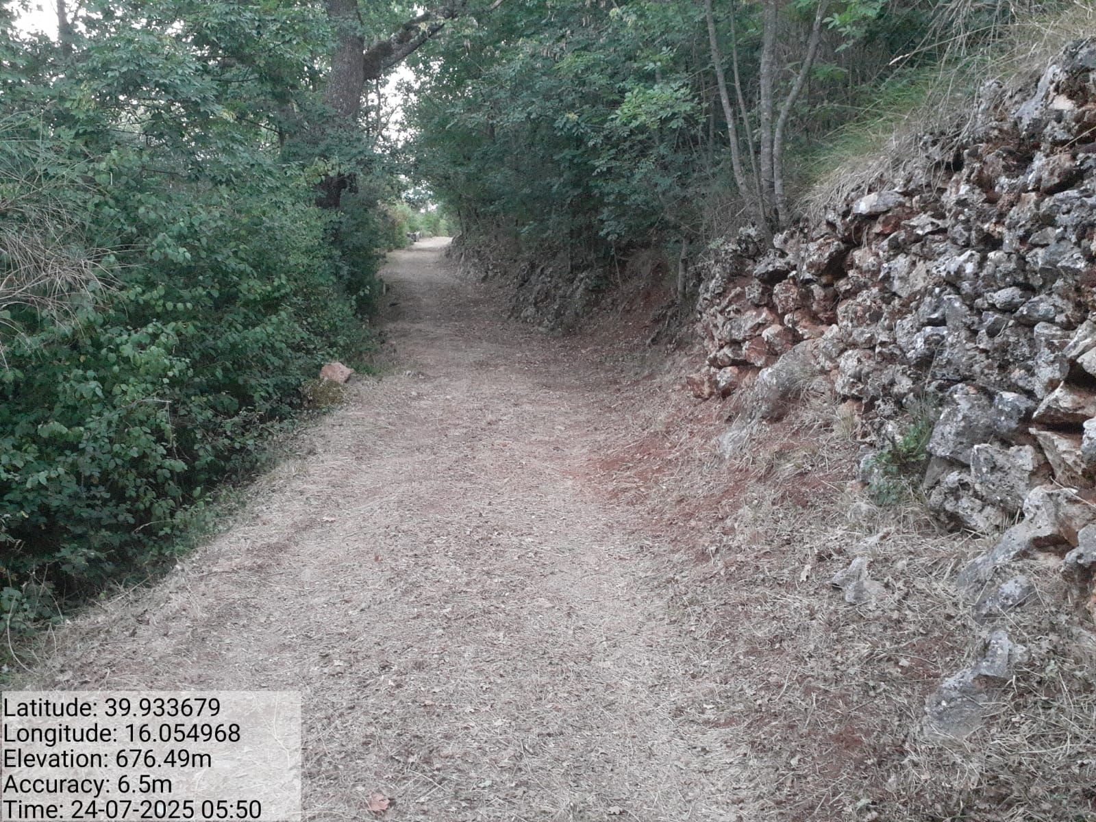 Galleria Fotografica Immagine