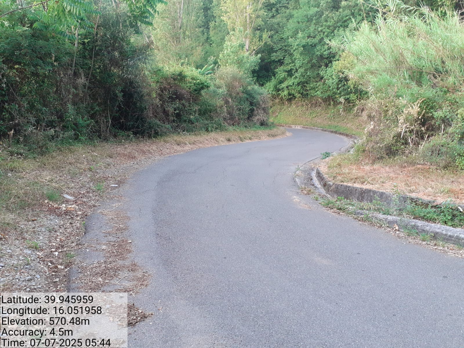 Galleria Fotografica Immagine