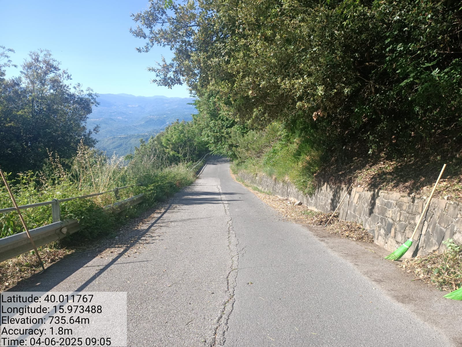 Galleria Fotografica Immagine