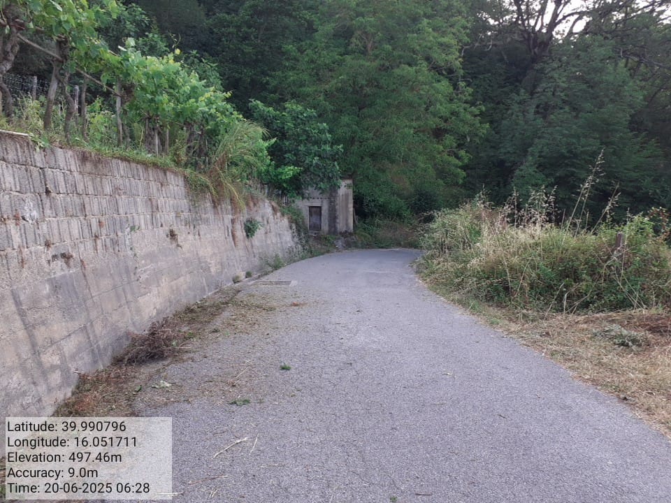 Galleria Fotografica Immagine