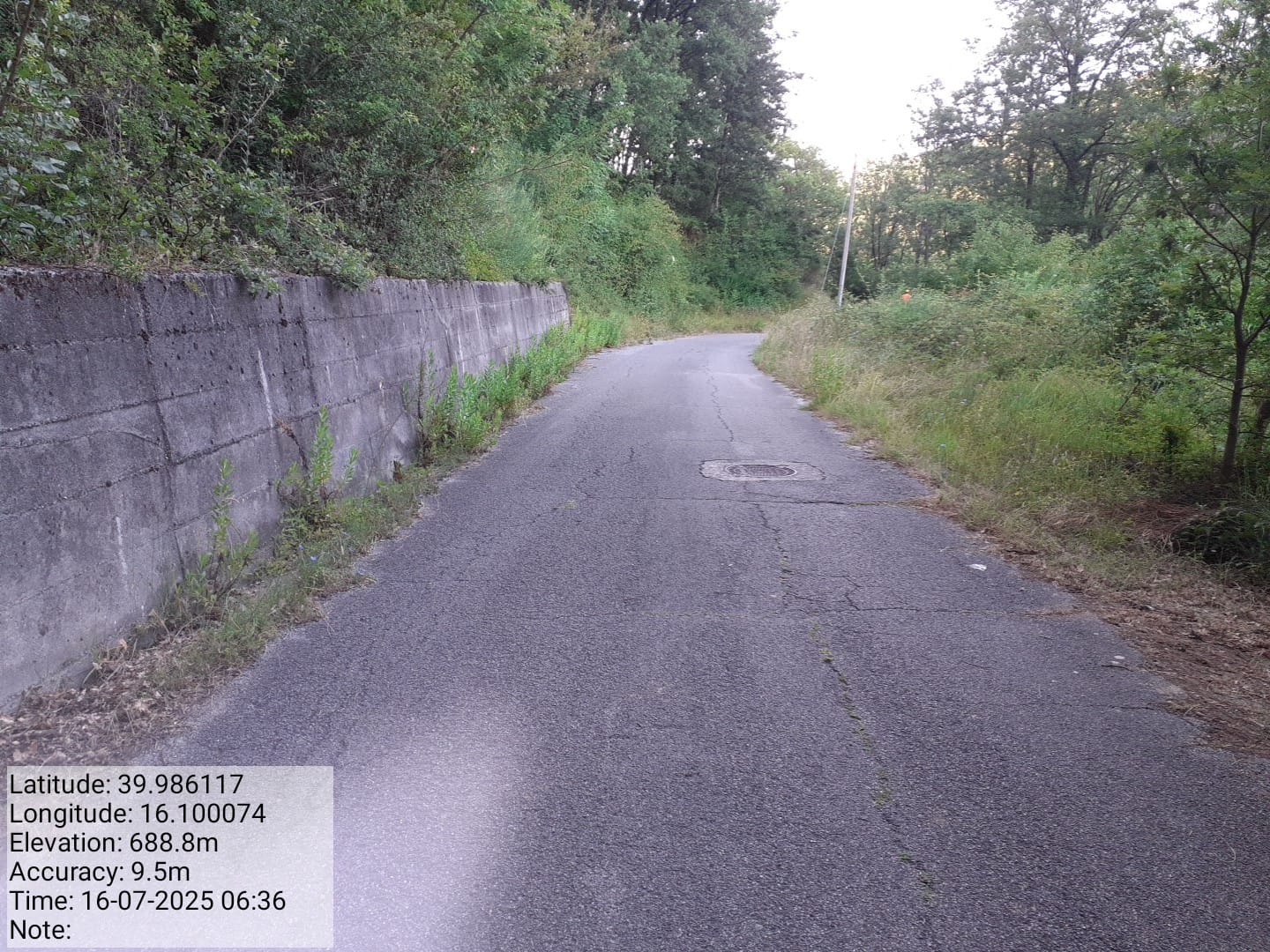 Galleria Fotografica Immagine