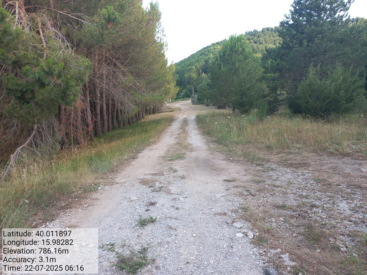 Galleria Fotografica Immagine