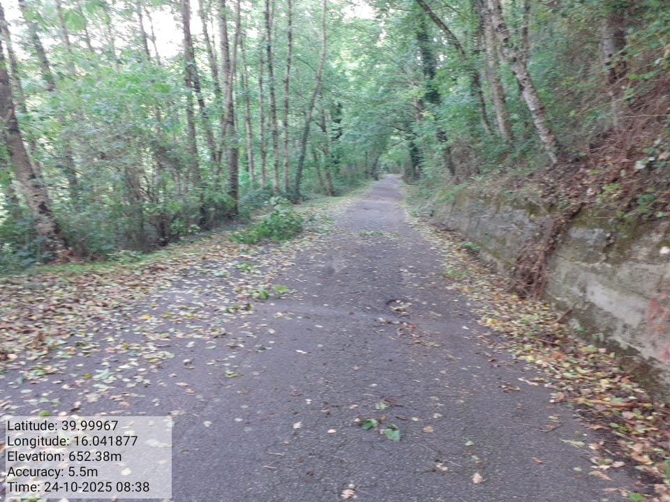 Galleria Fotografica Immagine