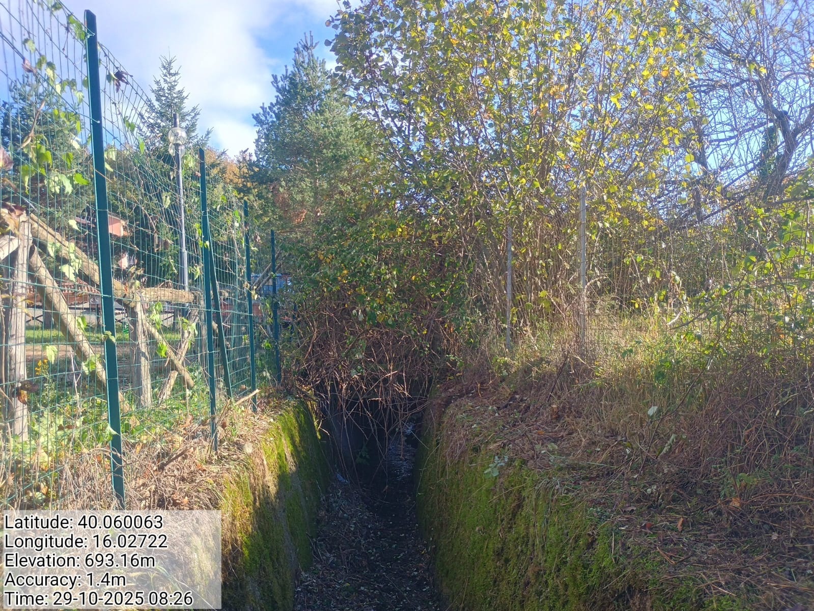 Galleria Fotografica Immagine