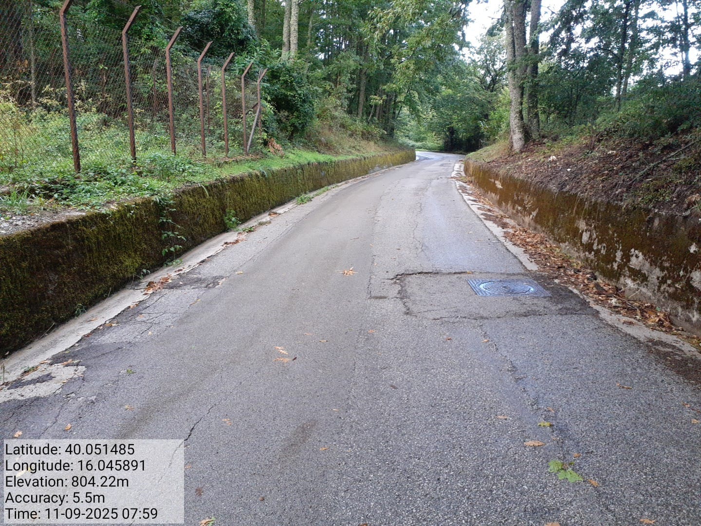 Galleria Fotografica Immagine