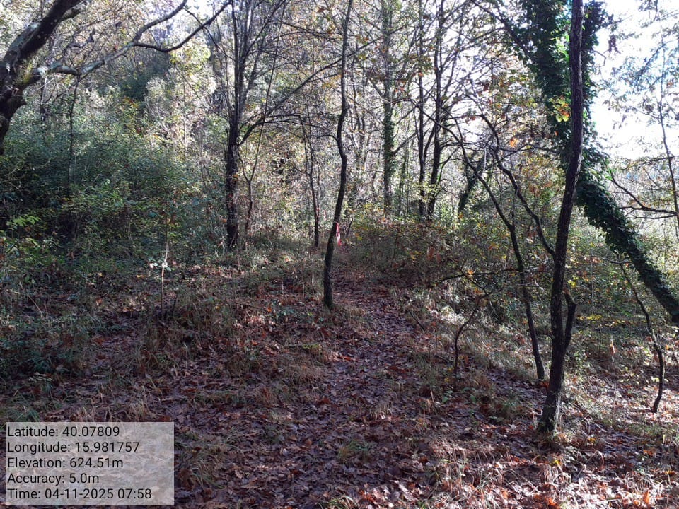 Galleria Fotografica Immagine