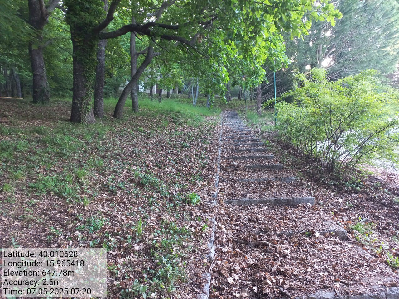 Galleria Fotografica Immagine