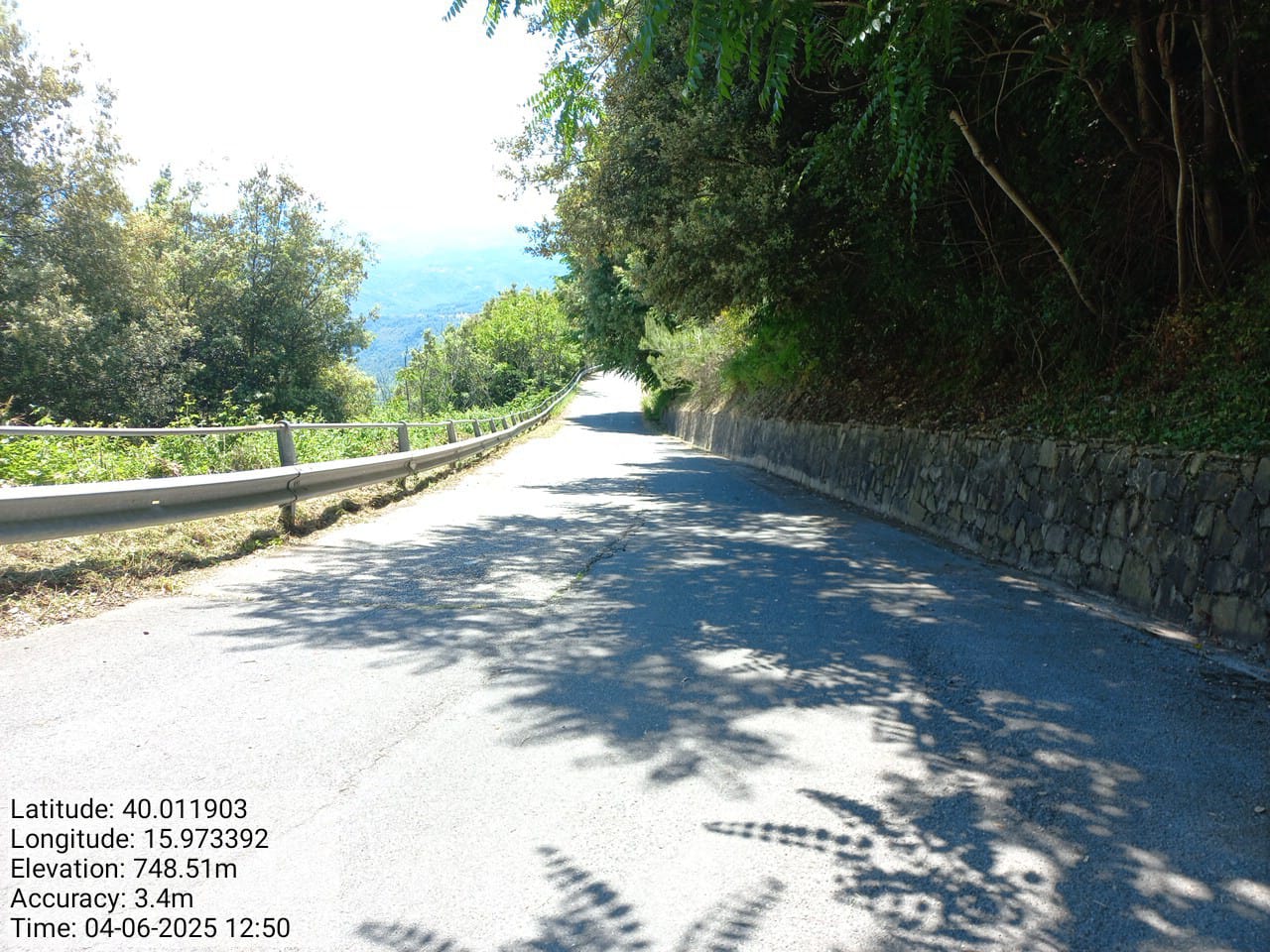 Galleria Fotografica Immagine