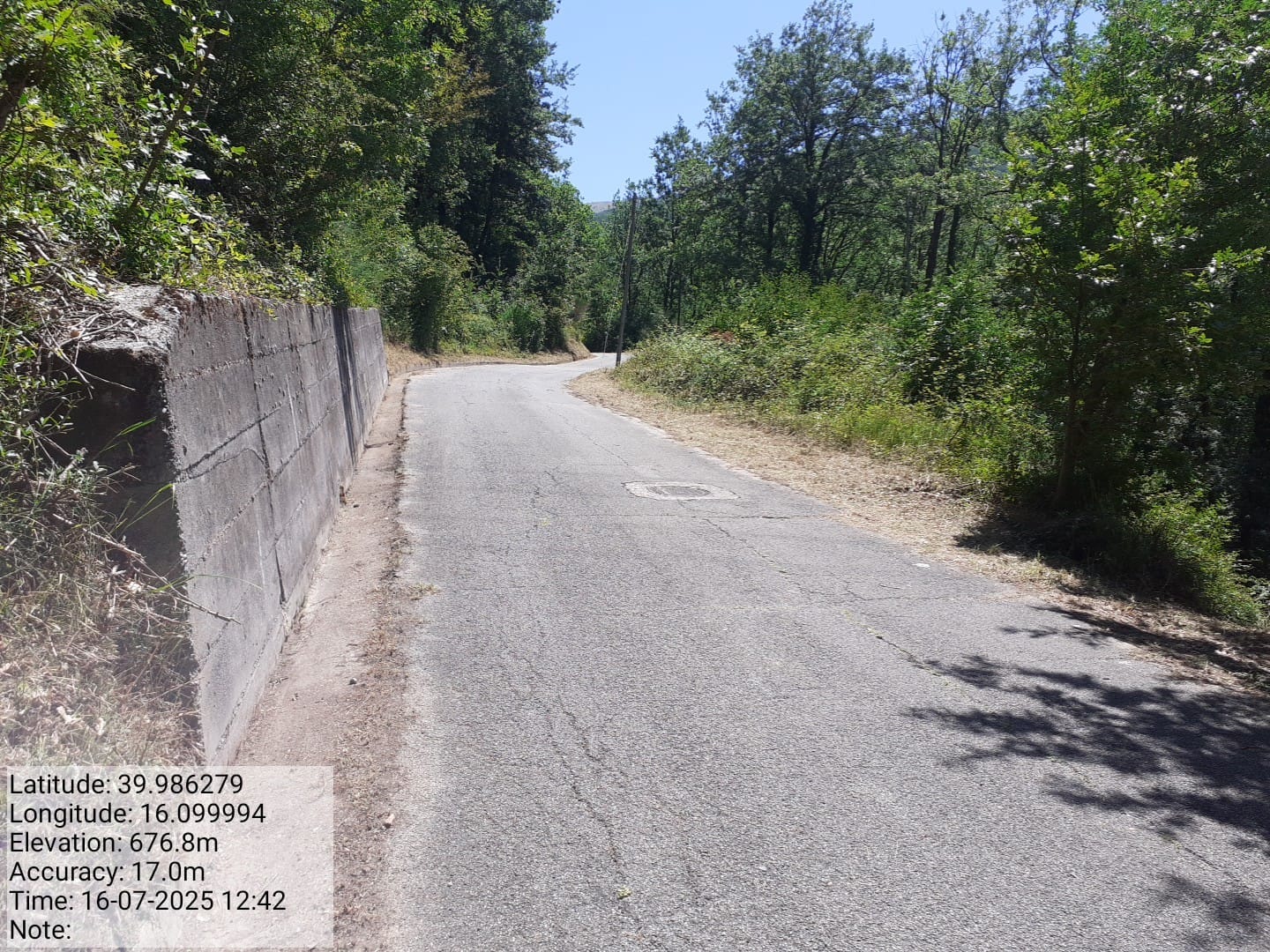 Galleria Fotografica Immagine