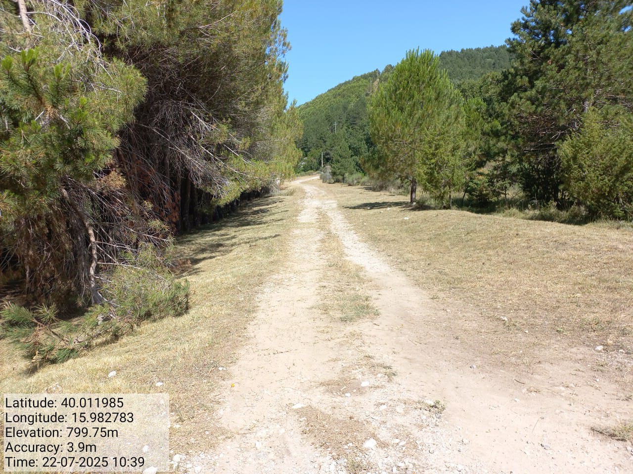 Galleria Fotografica Immagine