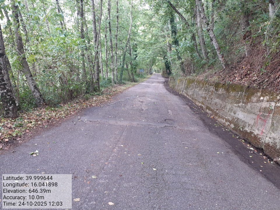 Galleria Fotografica Immagine