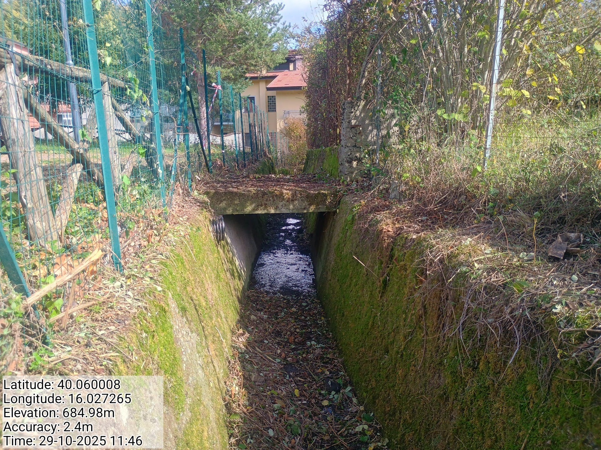 Galleria Fotografica Immagine