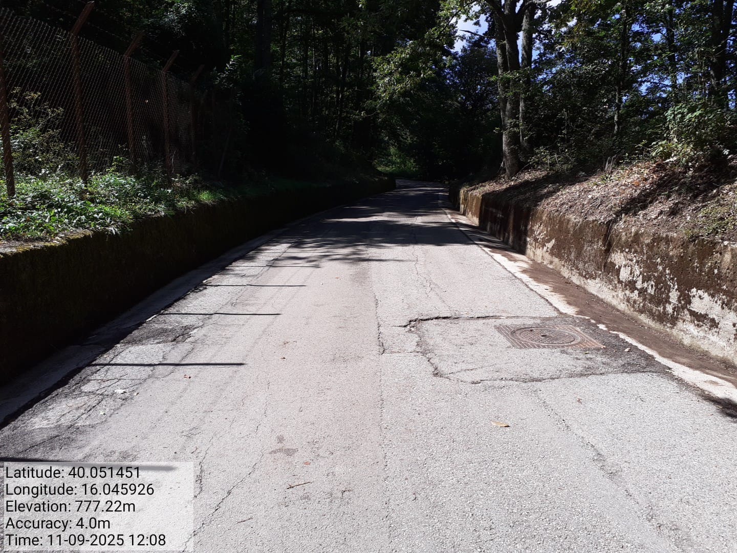 Galleria Fotografica Immagine