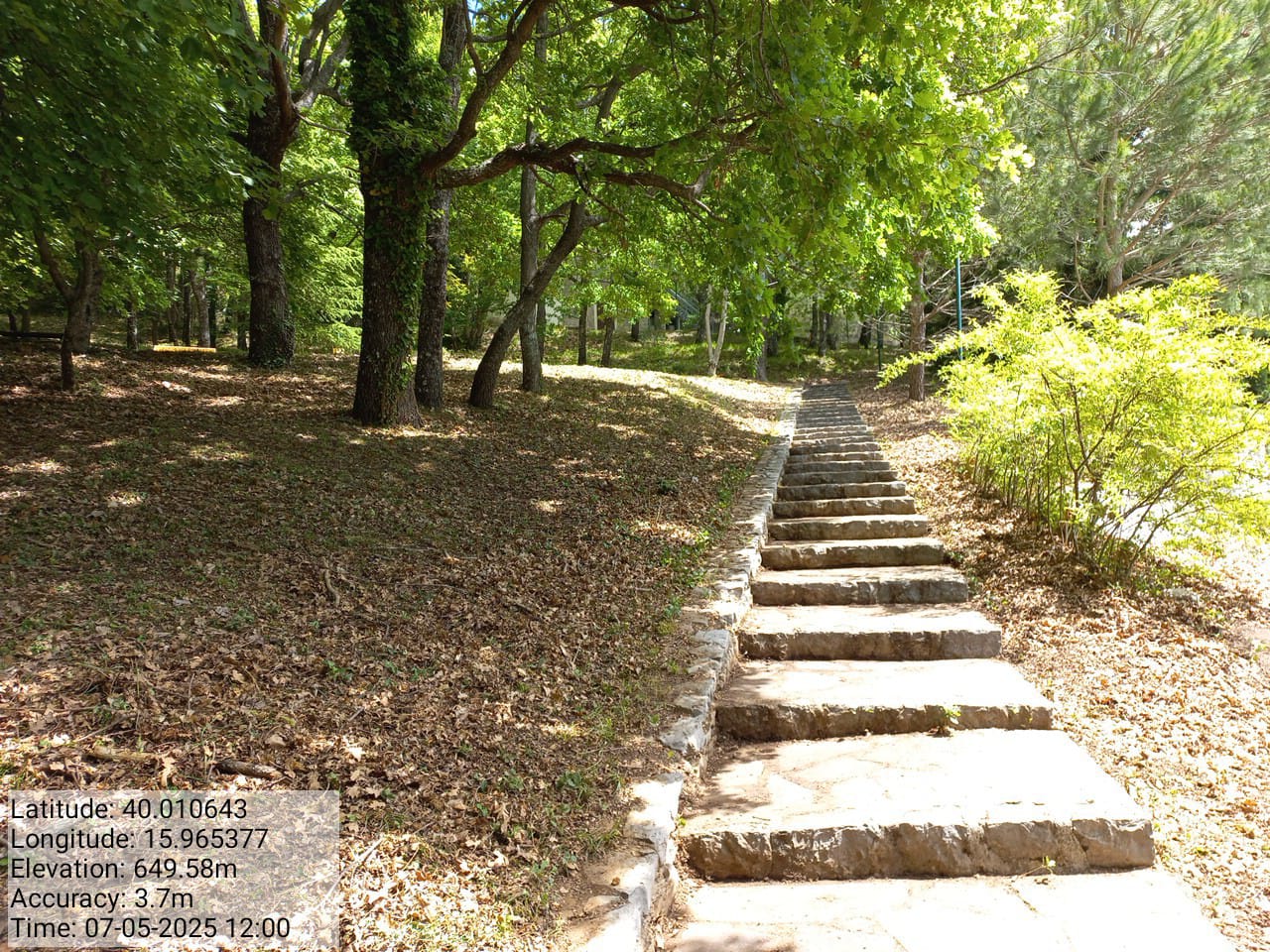 Galleria Fotografica Immagine