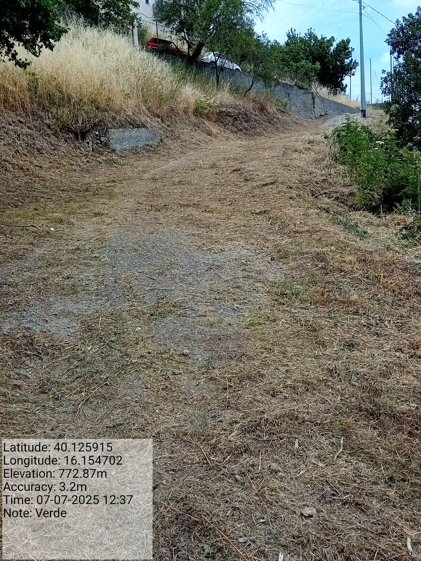 Galleria Fotografica Immagine