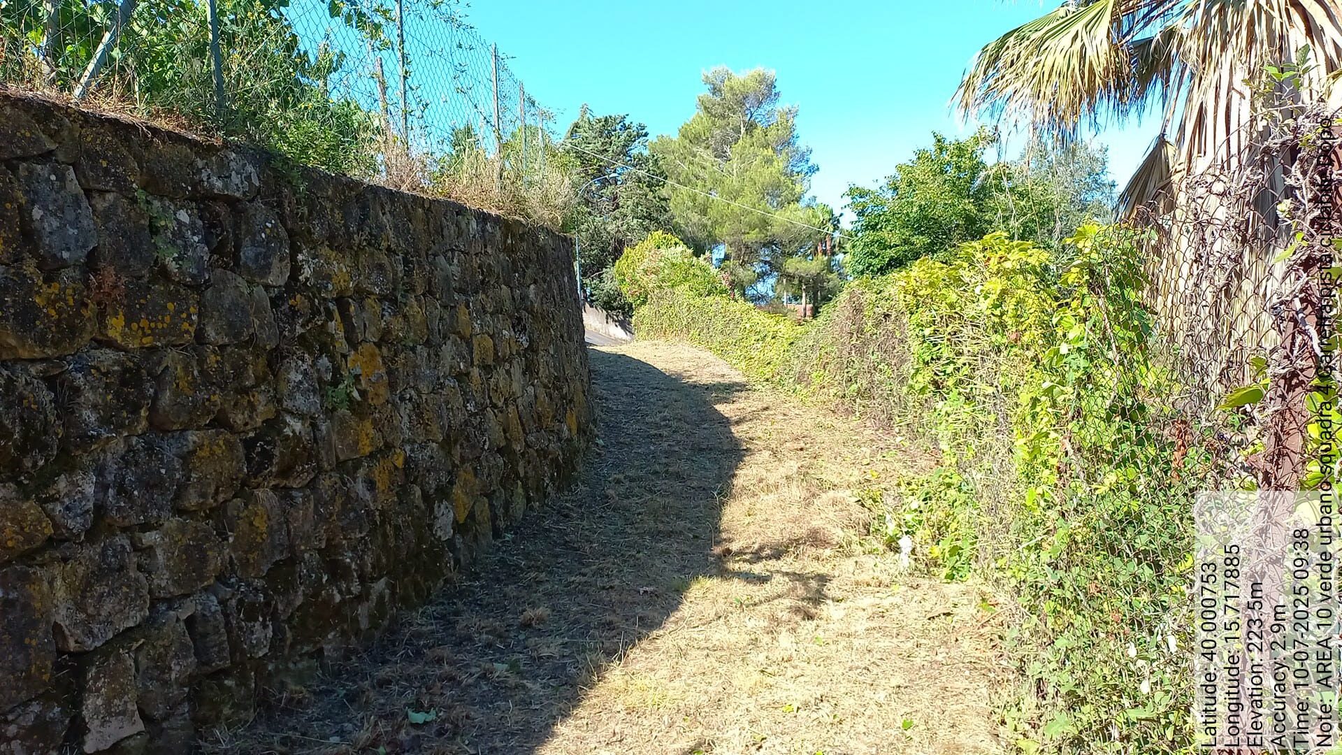 Galleria Fotografica Immagine