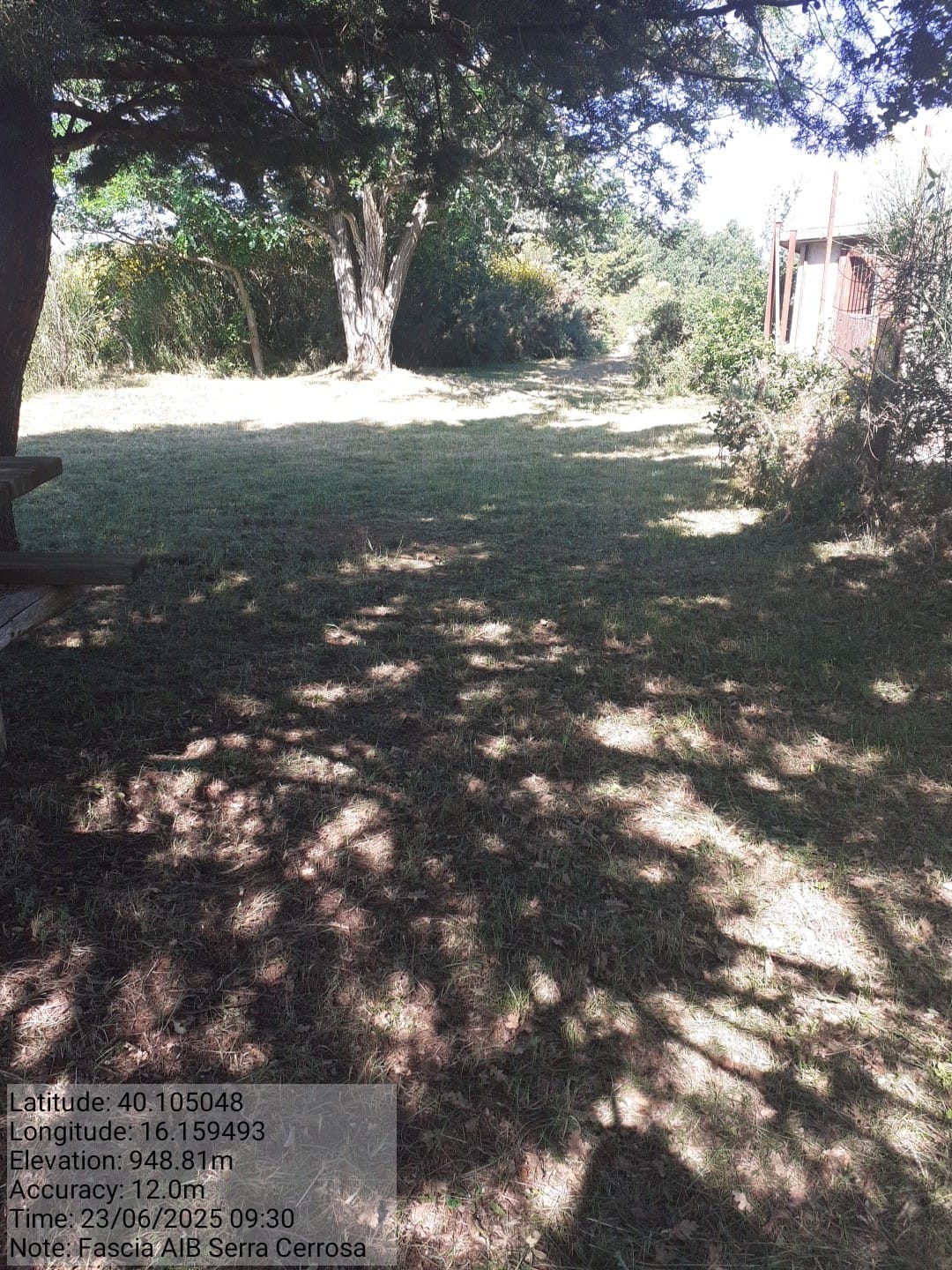 Galleria Fotografica Immagine