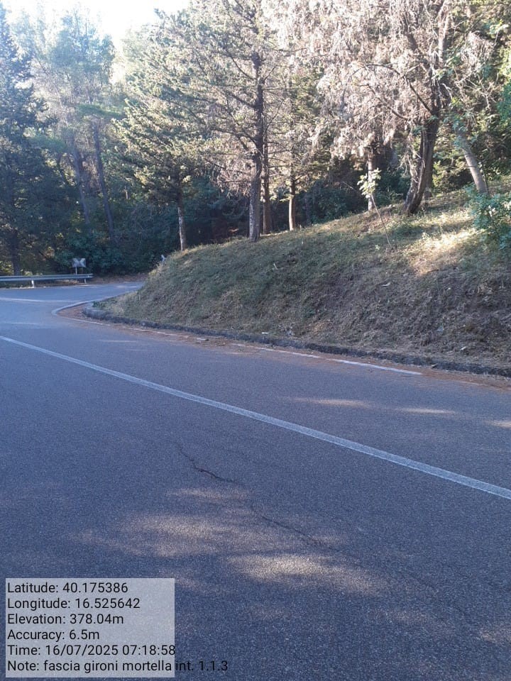 Galleria Fotografica Immagine