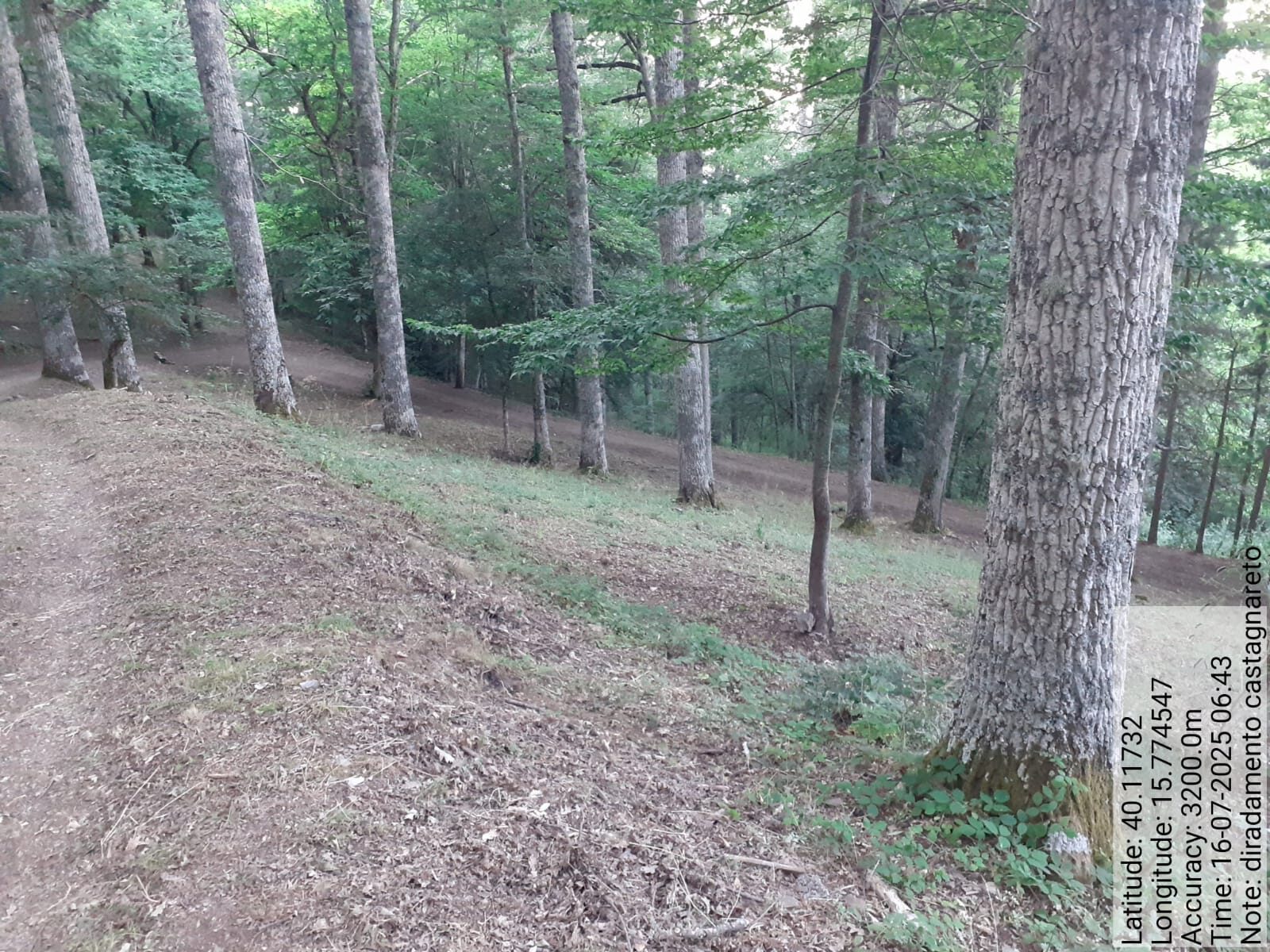 Galleria Fotografica Immagine