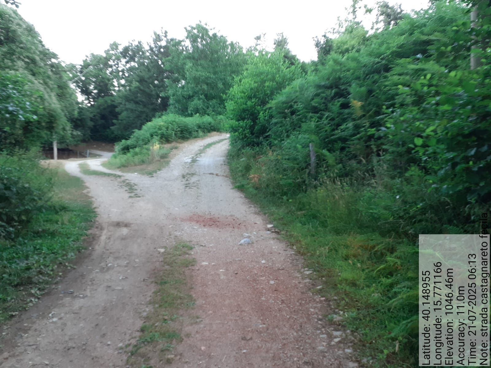 Galleria Fotografica Immagine