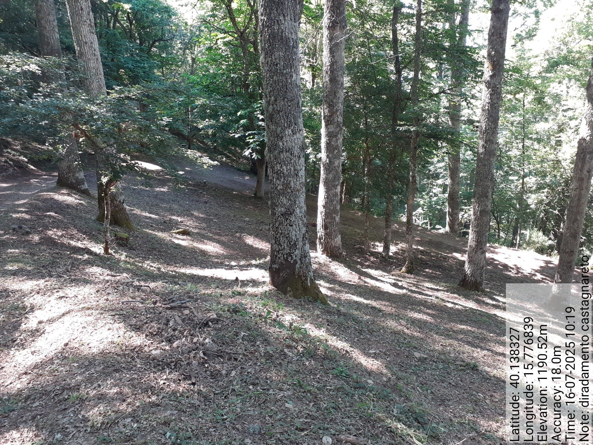 Galleria Fotografica Immagine