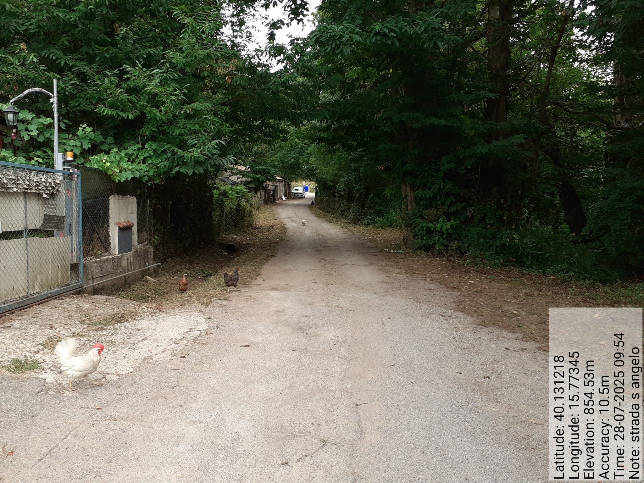 Galleria Fotografica Immagine