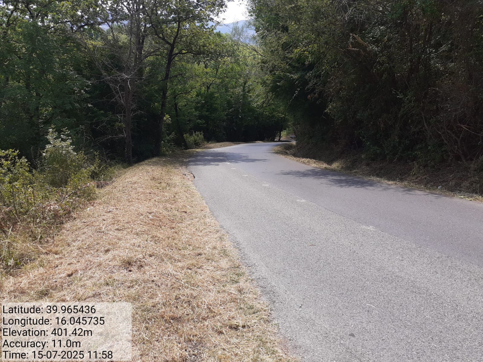 Galleria Fotografica Immagine