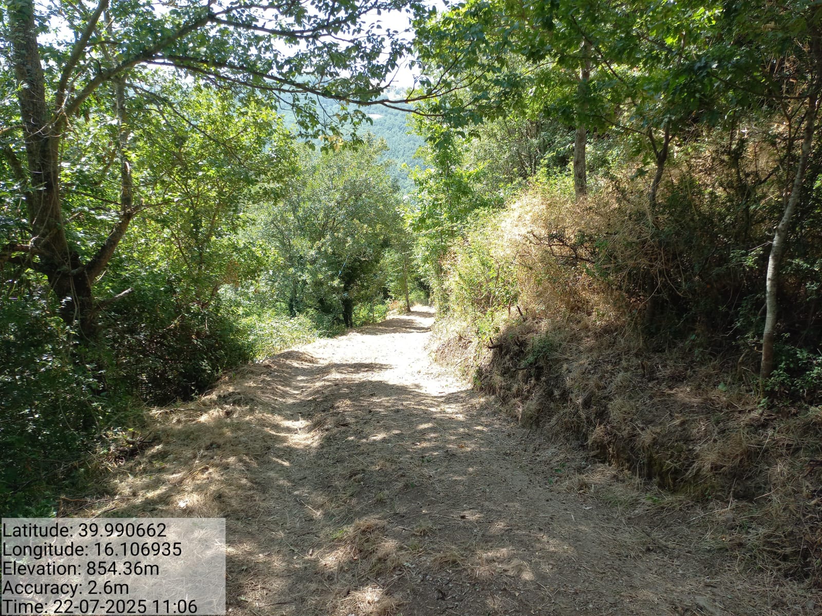 Galleria Fotografica Immagine