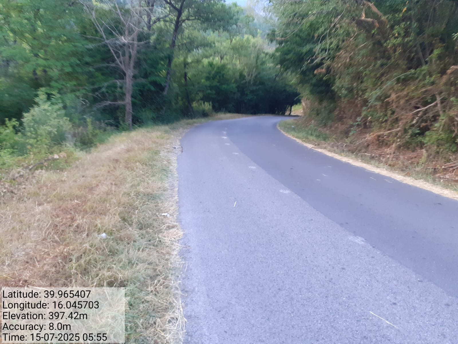 Galleria Fotografica Immagine