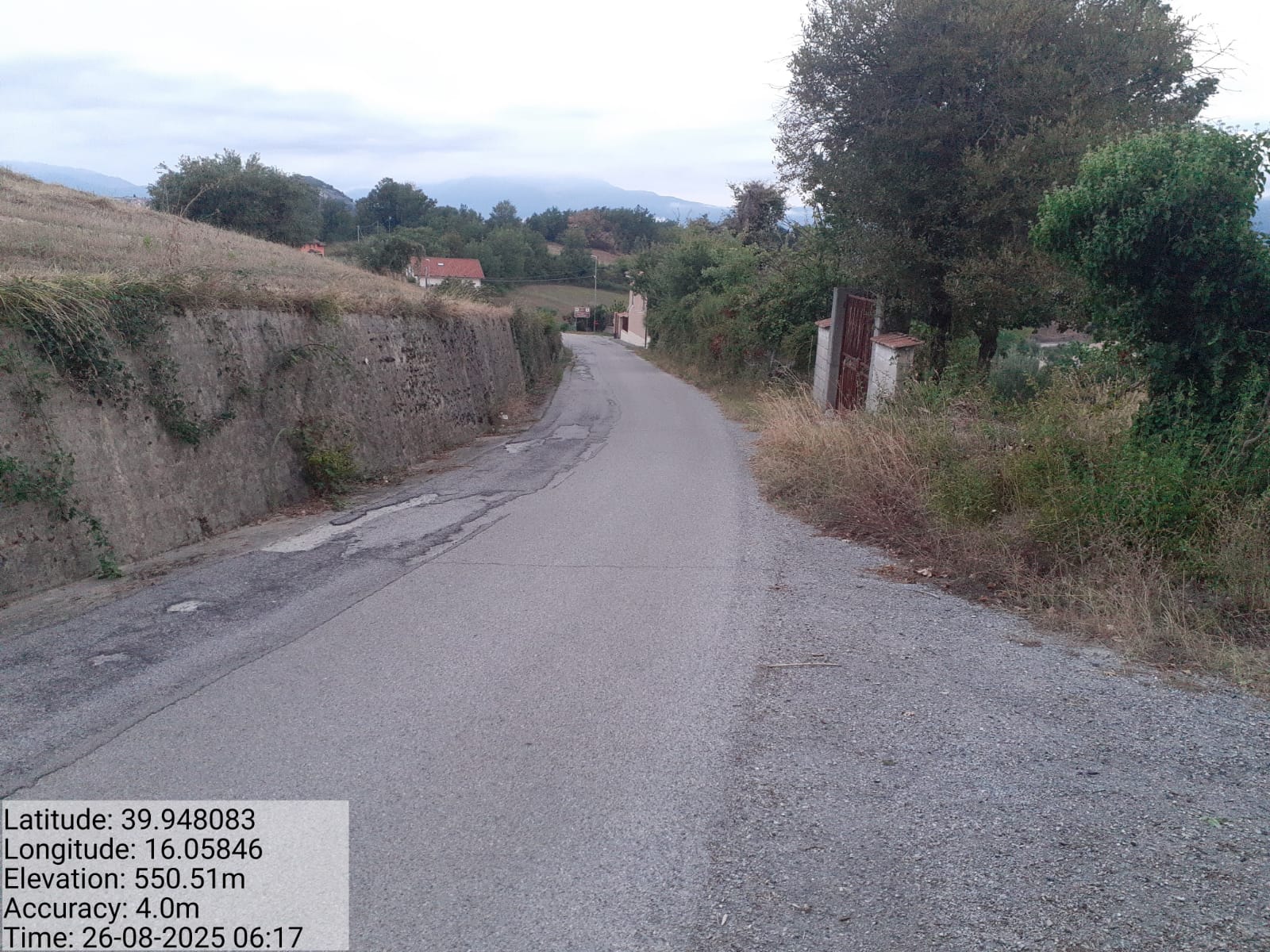 Galleria Fotografica Immagine