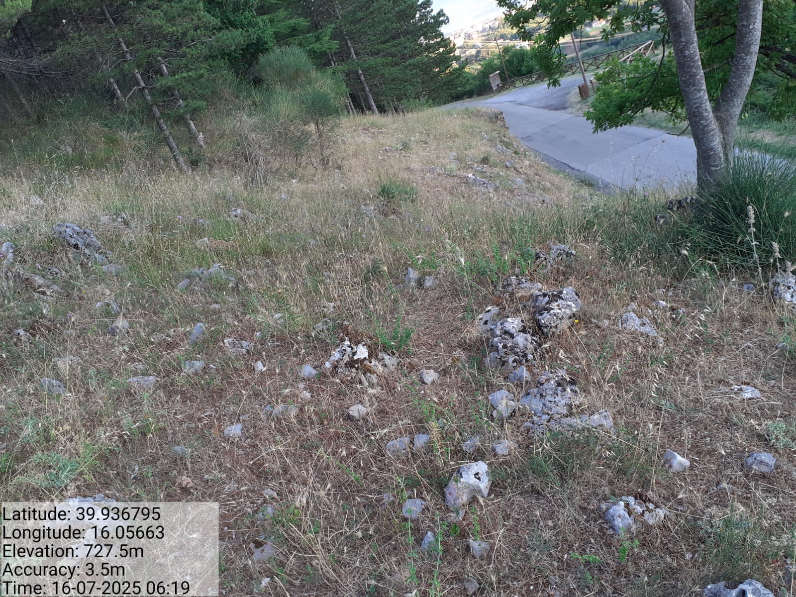 Galleria Fotografica Immagine