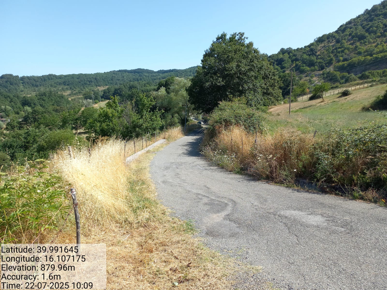 Galleria Fotografica Immagine