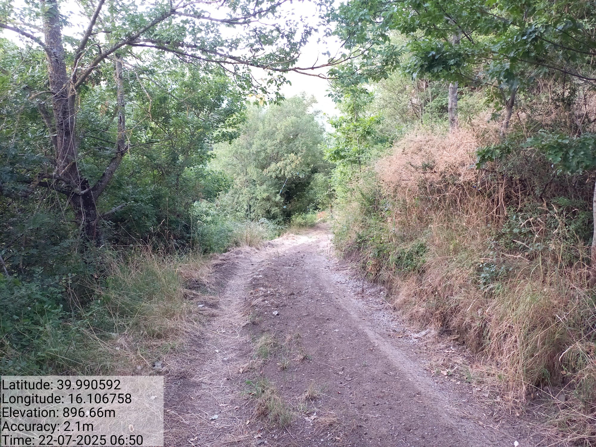 Galleria Fotografica Immagine