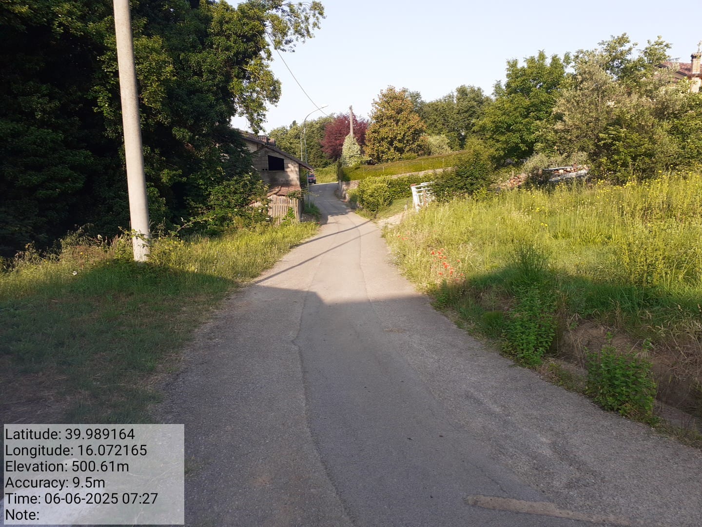 Galleria Fotografica Immagine