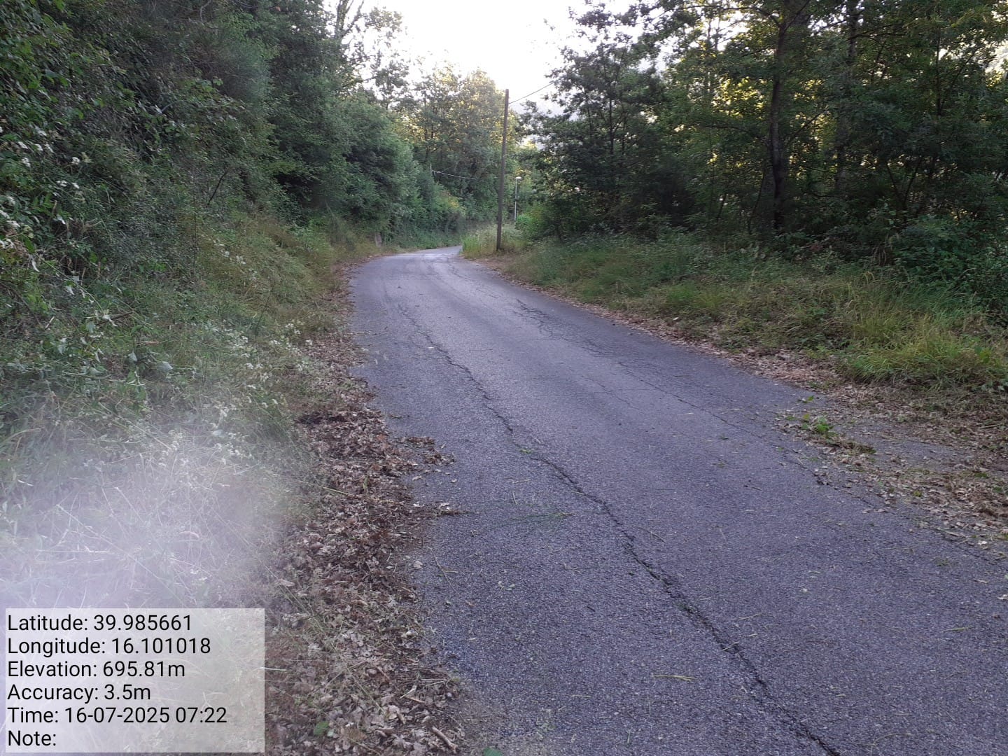 Galleria Fotografica Immagine