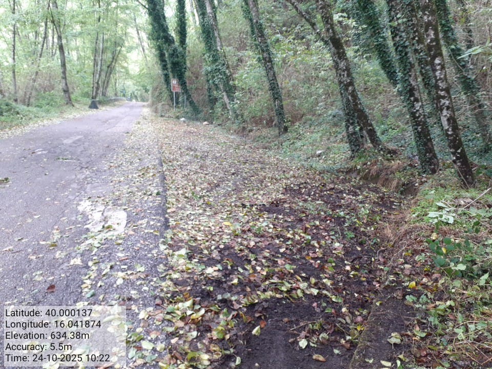 Galleria Fotografica Immagine