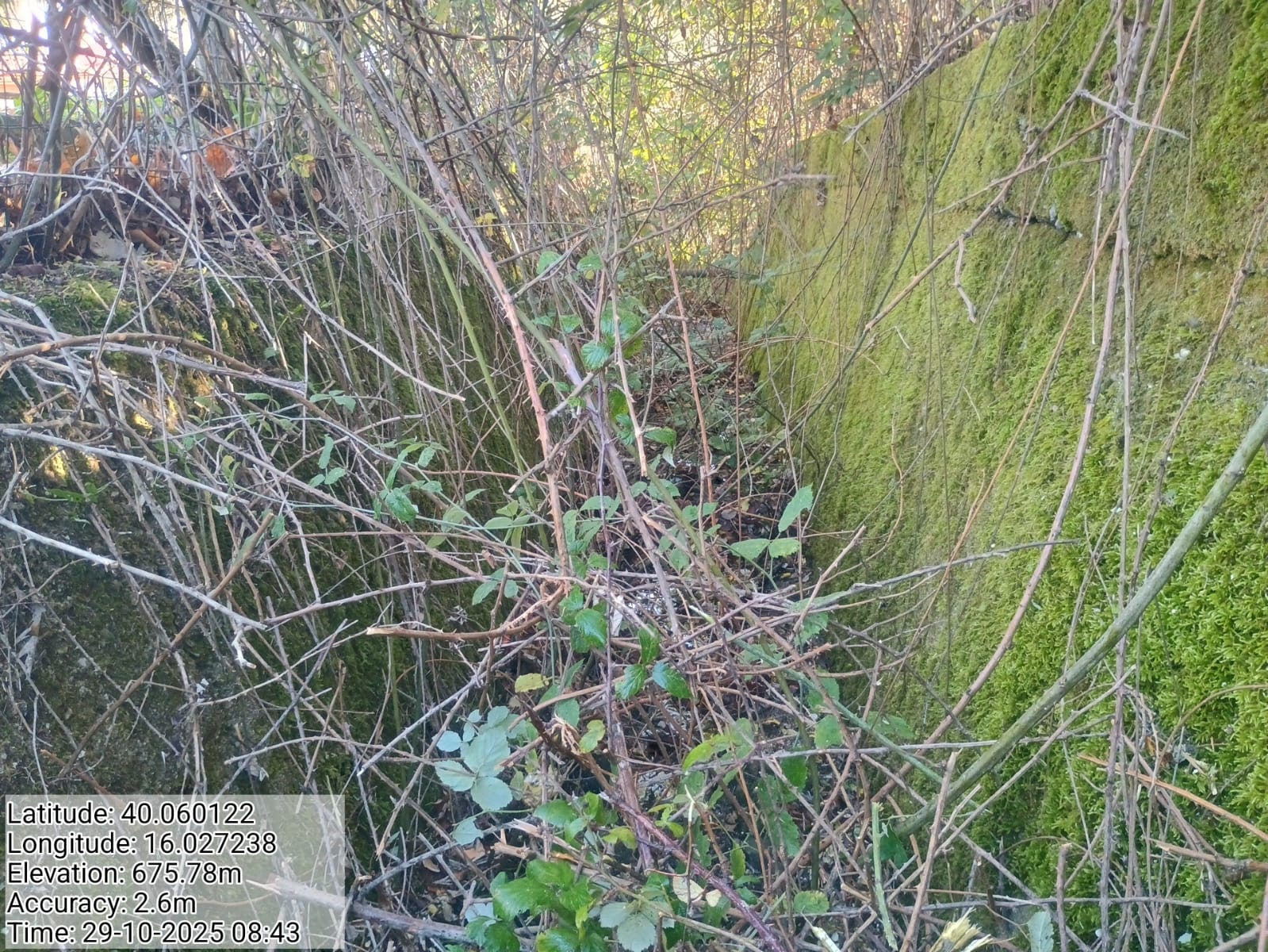 Galleria Fotografica Immagine