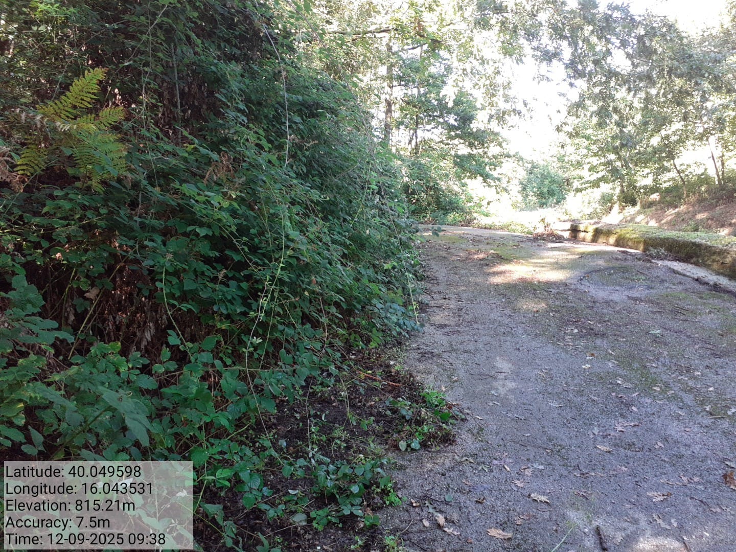 Galleria Fotografica Immagine