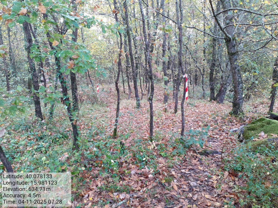 Galleria Fotografica Immagine