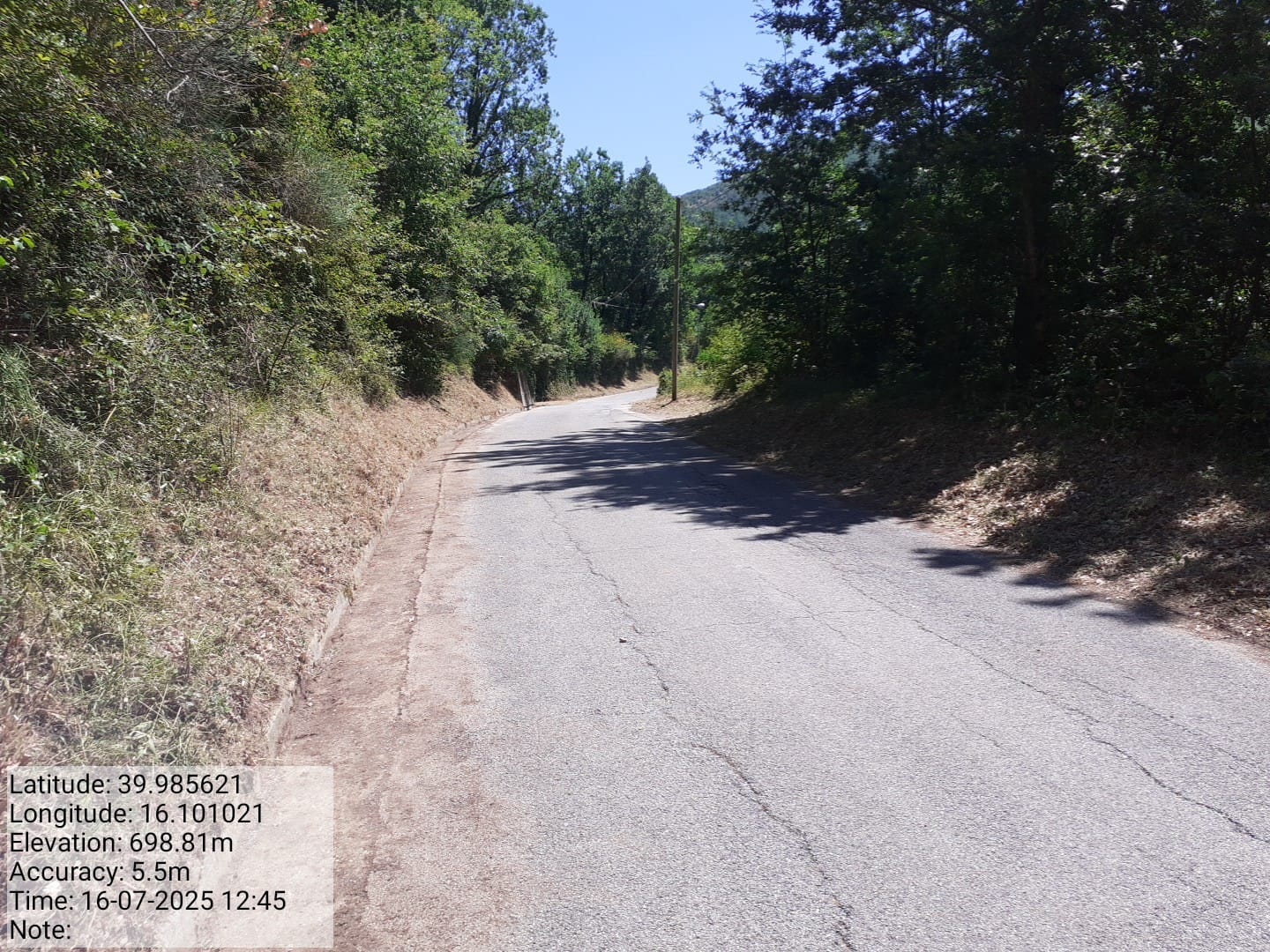 Galleria Fotografica Immagine