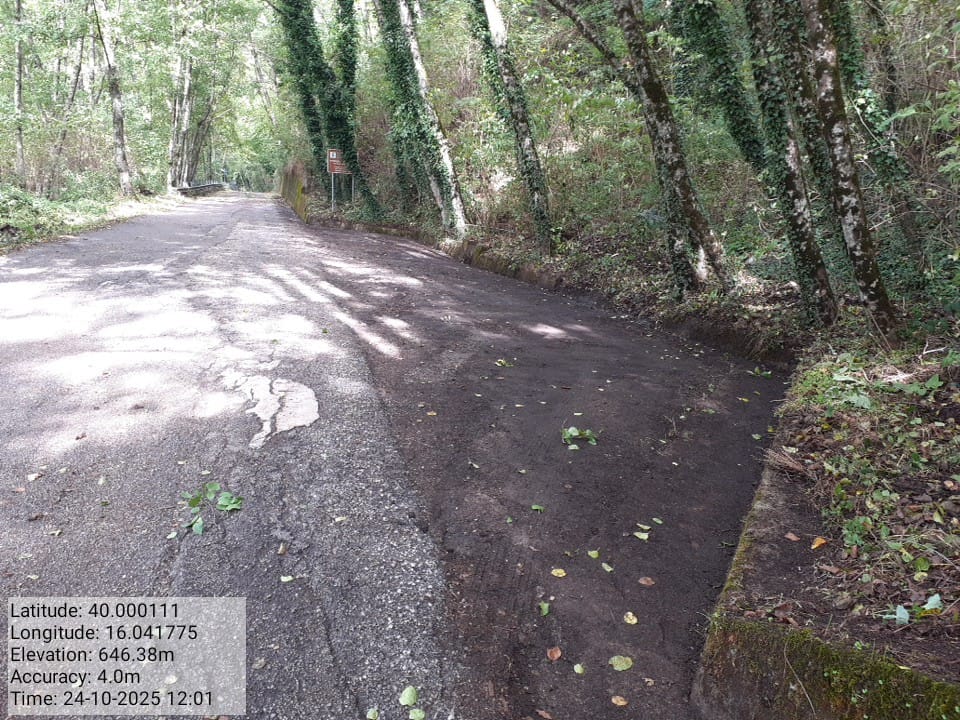 Galleria Fotografica Immagine