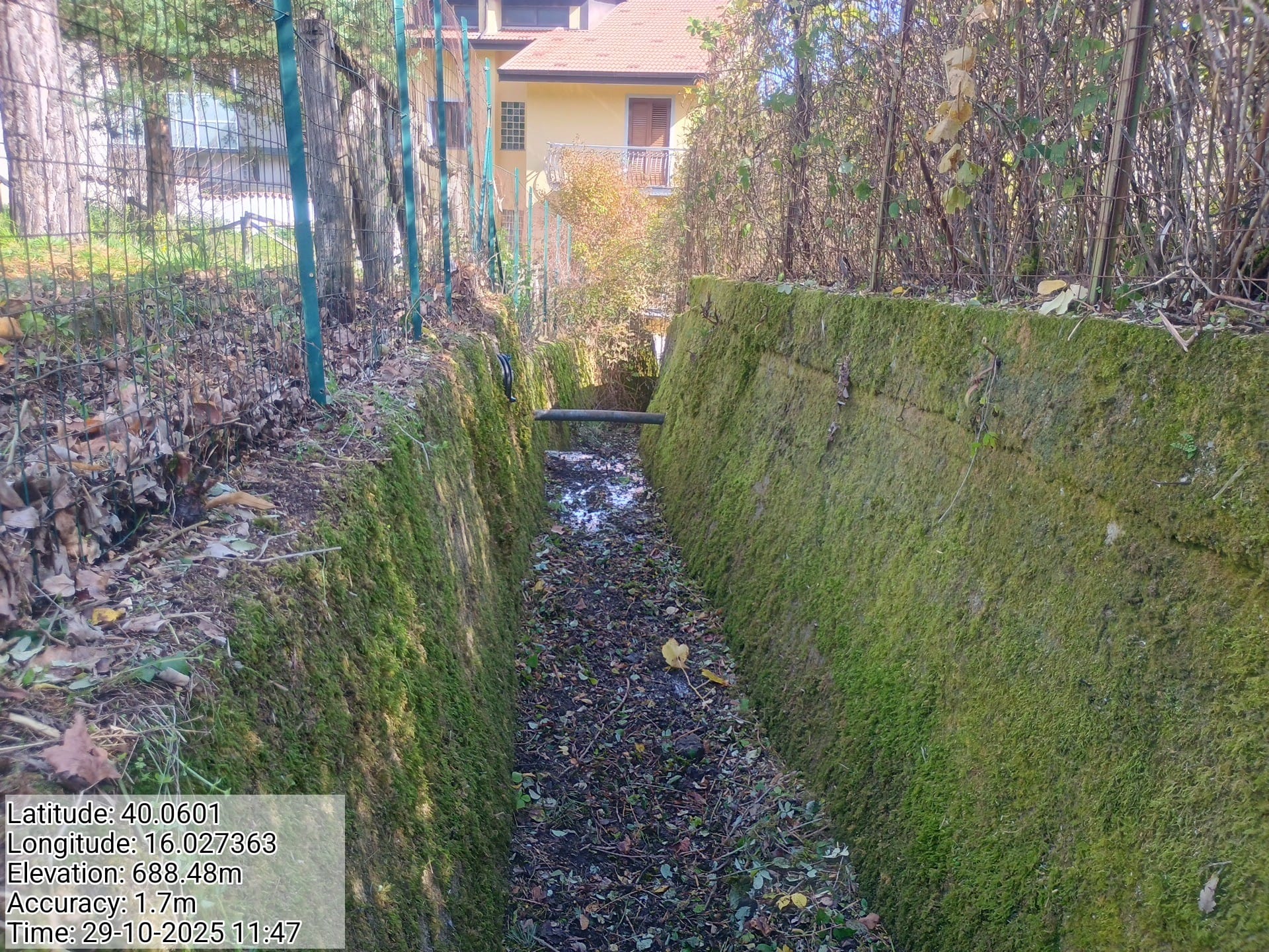 Galleria Fotografica Immagine