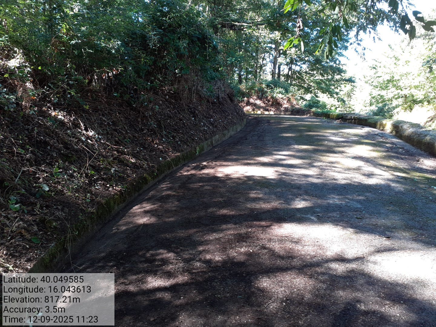 Galleria Fotografica Immagine