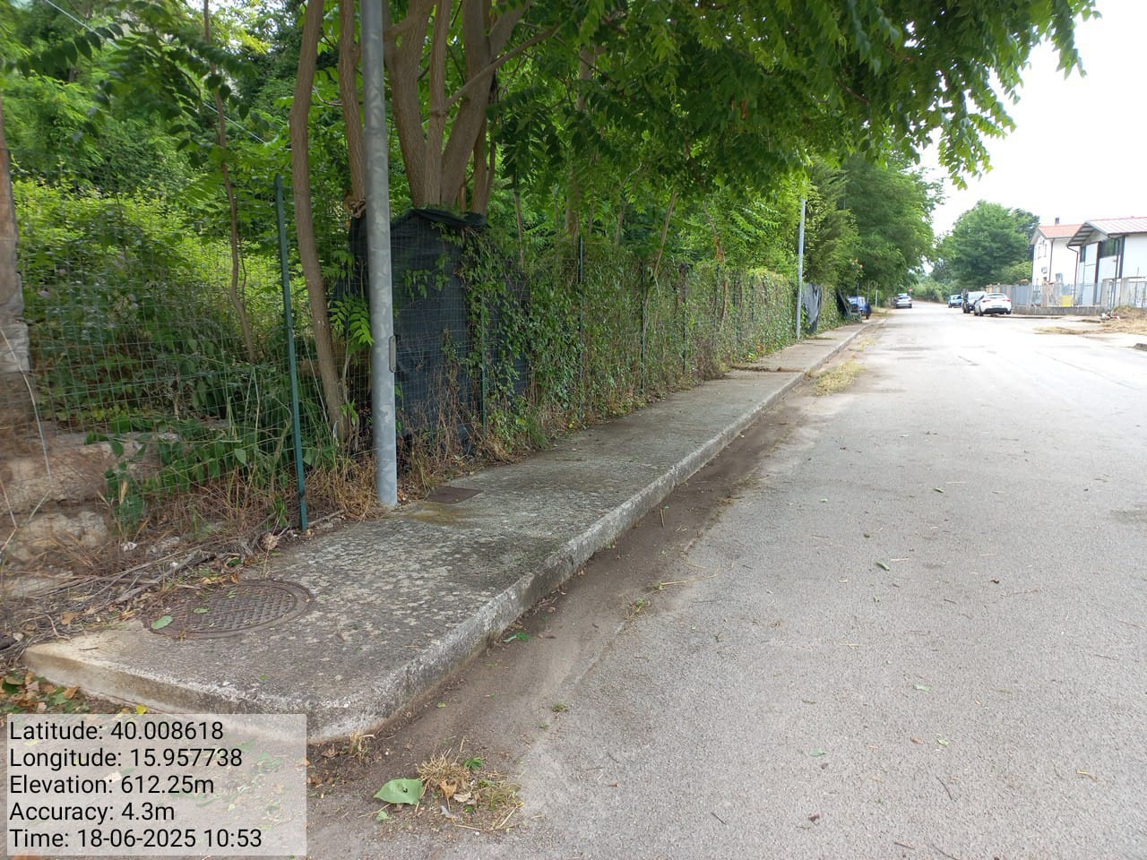 Galleria Fotografica Immagine